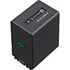 SONY NP-FV100A